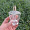 Gewohnheits-fantastische Entwurfs-Parfüm-Glas-Luxusflasche 55ml mit Pumpen-Kappen-Sprüher