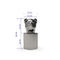 Kundenspezifische Parfümflasche-Kappen Hunde-Kopf-Gold-Fasion ISO 9001