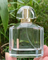 Fantastische Entwurfs-Parfüm-Glas-Luxusflasche 100ml mit Pumpen-Kappen-Sprüher