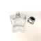 sprühen kreative Glasflaschen-Presse-Art der Parfümflasche-100ml die leeren Flaschen-Kosmetik, die Ausrüstung verpacken